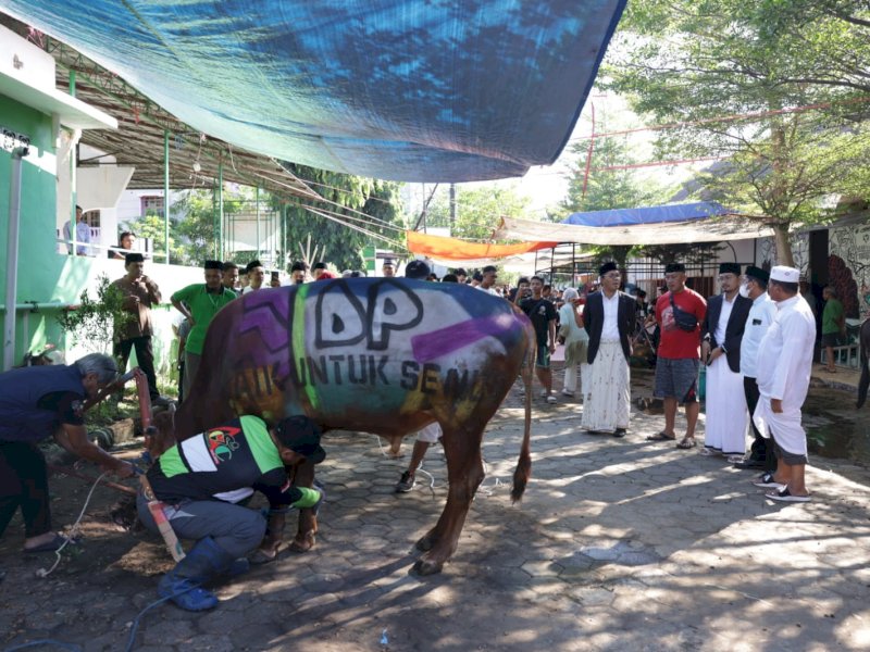 Usai Sembelih 2 Sapi Kurban, Danny Pomanto Gelar Open House
