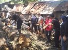 Legislator Makassar Muchlis Misbah Tinjau Rumah Warga Tertimpa Pohon di Muh Yamin