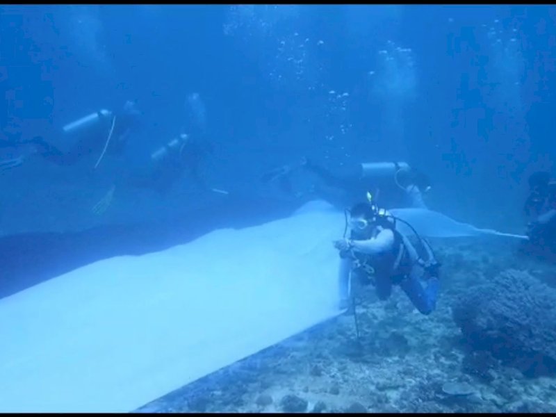 Pengibaran bendera Merah Putih di bawah laut Bulukumba. 