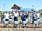 Sudirman Sudah Motori Penanaman 3 Juta Mangrove di Sulsel, Dipuji Luhut