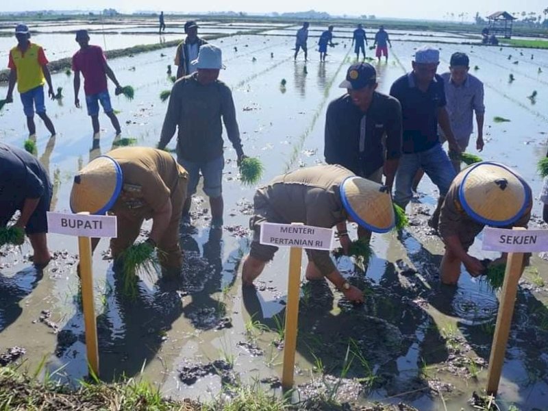 Menteri Pertanian Syahrul Yasin Limpo bersama Bupati Bone Andi Fahsar M Padjalangi melakukan kick off Gerakan Nasional (Gernas) Antisipasi Dampak El Nino di Kabupaten Bone.