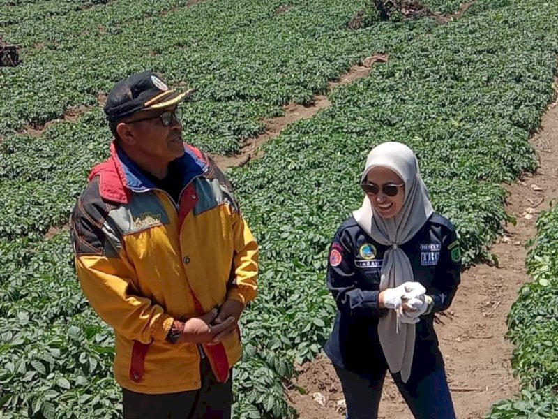 Panen ubinan perdana yang dilakukan pada Minggu 24 September 2023 oleh Bupati Luwu Utara. 