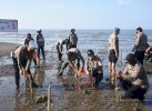 Polres Bulukumba Inisiasi Penanaman 1.000 Mangrove di Pesisir Tabbuttu