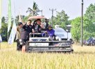 Bahtiar Panen Raya Padi Bersama Petani Maros di Tengah El Nino