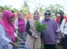 Pj Ketua PKK Sulsel Sambangi Lorong Makassar, Disambut Indira Yusuf