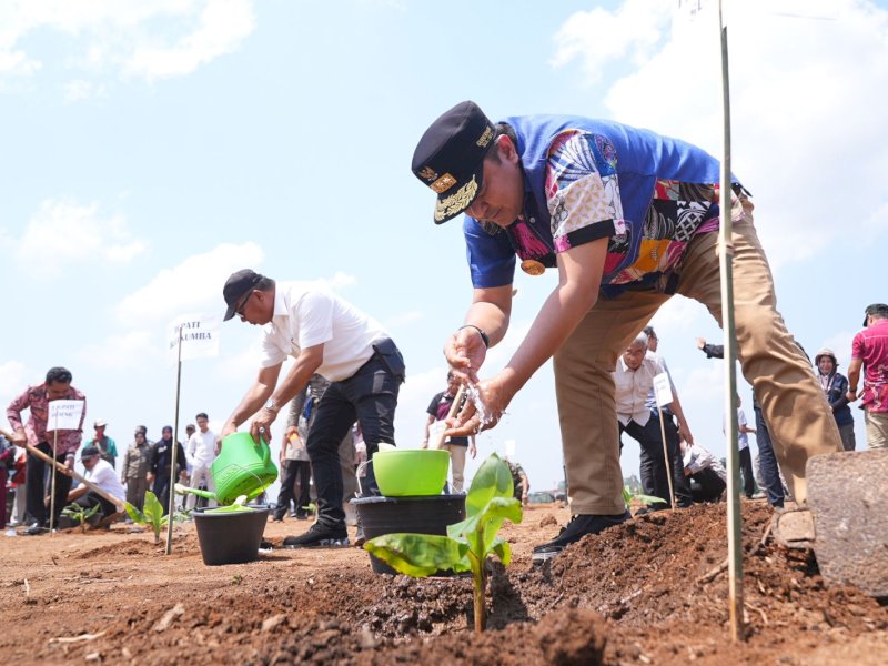 Pj Gubernur Sulsel Bahtiar Baharuddin, melakukan penanaman pisang di Kelurahan Mannanti, Sinjai.