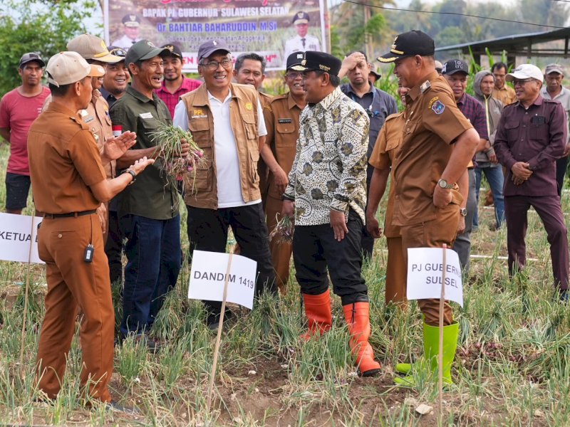 Penjabat Gubernur Sulsel, Bahtiar Baharuddin bersama para petani, masih bisa melakukan panen raya bawang merah di Desa Pekalobean.