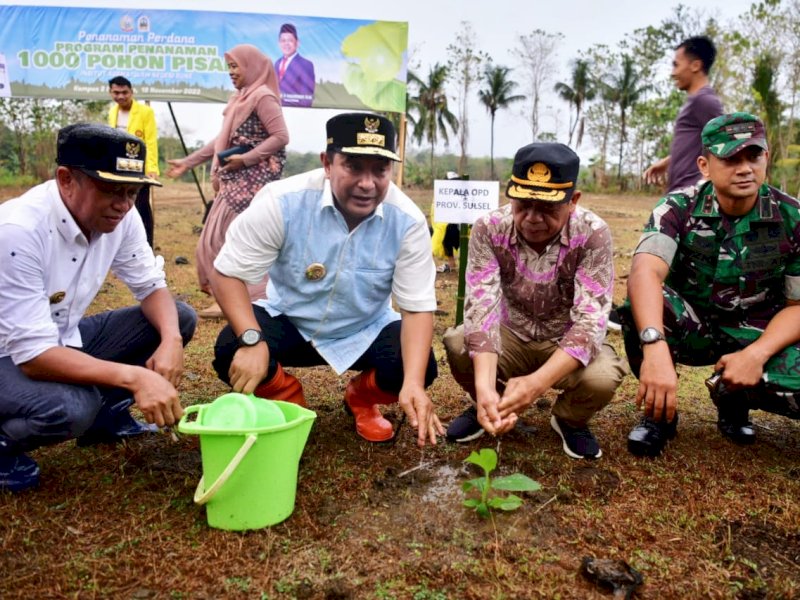 Penjabat Gubernur Sulsel Bahtiar Baharuddin bersama Rektor Institut Agama Islam Negeri (IAIN) Bone Prof Syahabuddin secara simbolis melakukan penanaman bibit pisang cavendish di Kampus II IAIN Bone. 