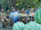 Lelang Semangka Untuk Palestina di Bulukumba, Bupati Andi Utta Tertinggi Rp60 Juta