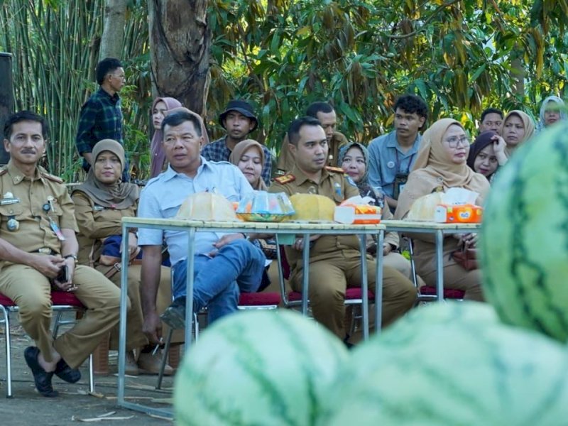 Bupati Bulukumba Andi Muchtar Ali Yusuf ikut lelang harga Semangka untuk Palestina di Kebun Bersama Desa Bontosunggu, Kecamatan Gantarang, Senin, 20 November 2023.