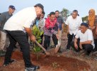 Dimulai di Bulukumba, Bahtiar Target Tanam 100.000 Pohon Nangka Madu di 2024