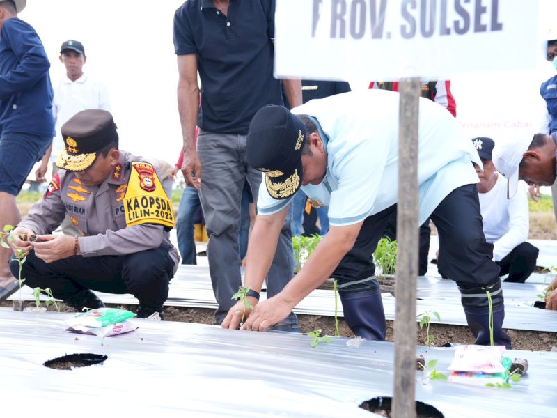 Kapolda Sulsel Irjen Pol Andi Rian Ryacudu Djajadi, turut melakukan panen sekaligus penanaman cabai bersama Penjabat Gubernur Sulsel Bahtiar Baharuddin, di Desa Lowa, Kecamatan Tanasitolo, Kabupaten Wajo. 