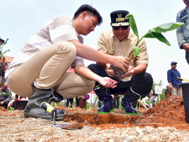 Manfaatkan Lahan Tidur, Petani Milenial Lutim Ikut Budidaya Pisang Cavendish