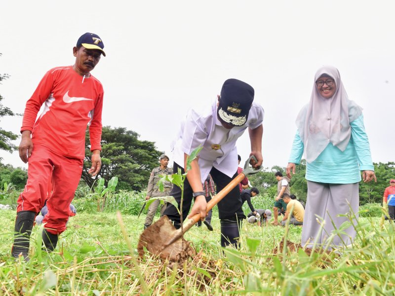 Barisan Muda Putra Pongka, menanam sukun bersama Pj Gubernur Sulsel Bahtiar Baharuddin. 