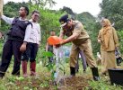 Pemprov Sulsel Budidaya Sukun di Bantimurung: Bisa jadi Pengganti Beras