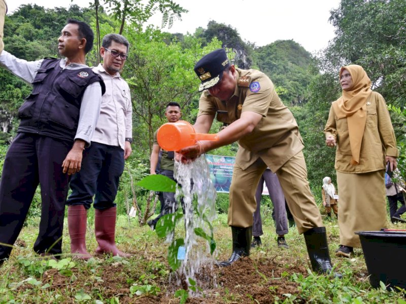 Pemprov Sulsel Budidaya Sukun di Bantimurung: Bisa jadi Pengganti Beras