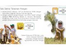 Pemkab Lutra Tetapkan Sukamaju sebagai Kawasan Agropolitan Tanaman Pangan