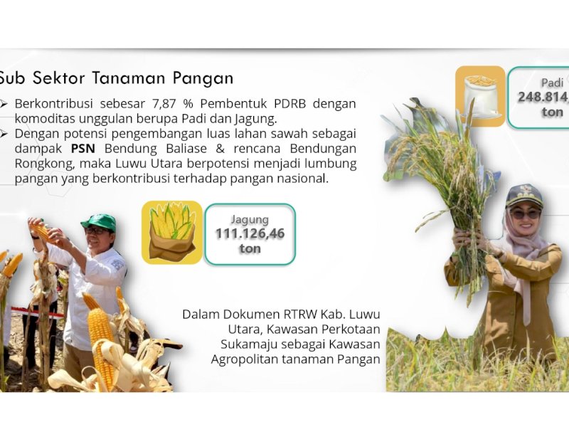 Pemkab Lutra Tetapkan Sukamaju sebagai Kawasan Agropolitan Tanaman Pangan