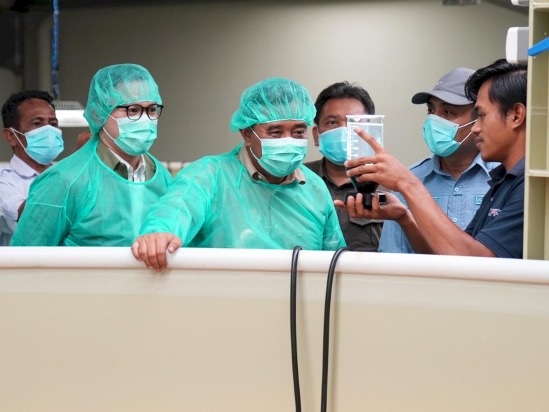 Penjabat Gubernur Sulsel, Bahtiar Baharuddin meninjau pengembangan benur udang untuk warga pesisir. 