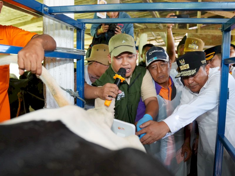 Pj Gubernur Bahtiar, usai menyaksikan proses Inseminasi Buatan (IB), di Desa Cendana, Kecamatan Cendana, Kabupaten Enrekang, 