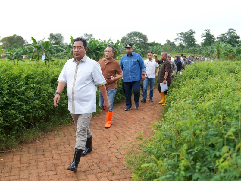 Penjabat Gubernur Sulsel Bahtiar Baharuddin meninjau lokasi yang rencananya akan menjadi areal pembangunan stadion bertaraf internasional di Sudiang, Makassar. 