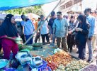 Harga Beras Masih Sulit Ditekan, Pemprov Sulsel Jamin Stok Aman hingga Juli