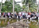 Pemprov Sulsel Sudah Tebar 2,1 Juta Benih Ikan Air Tawar di Bone 