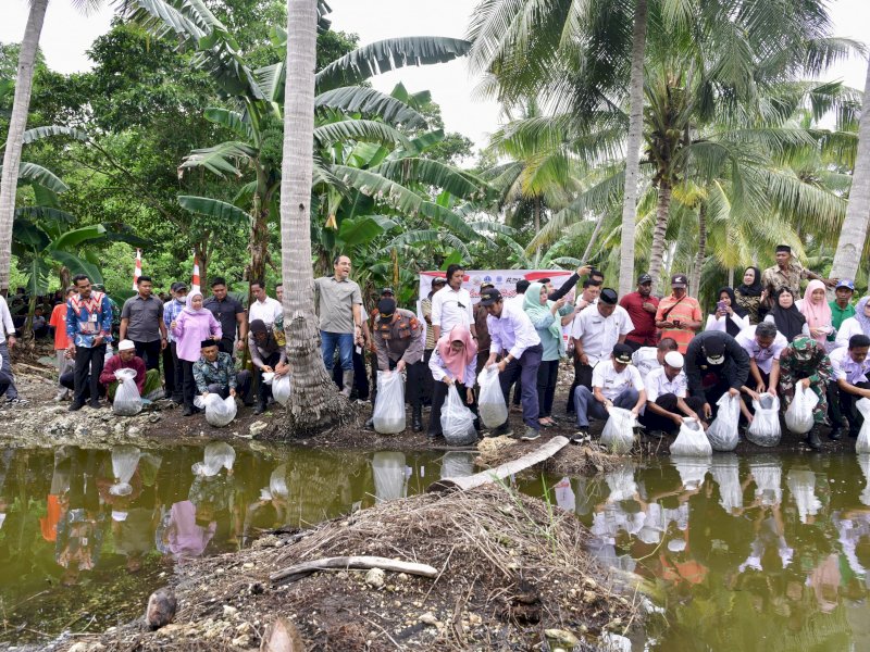 Pj Gubernur Sulawesi Selatan Bahtiar Baharuddin kembali melakukan penebaran 400 ribu bibit ikan nila dan mas di dua lokasi di Kabupaten Bone. 