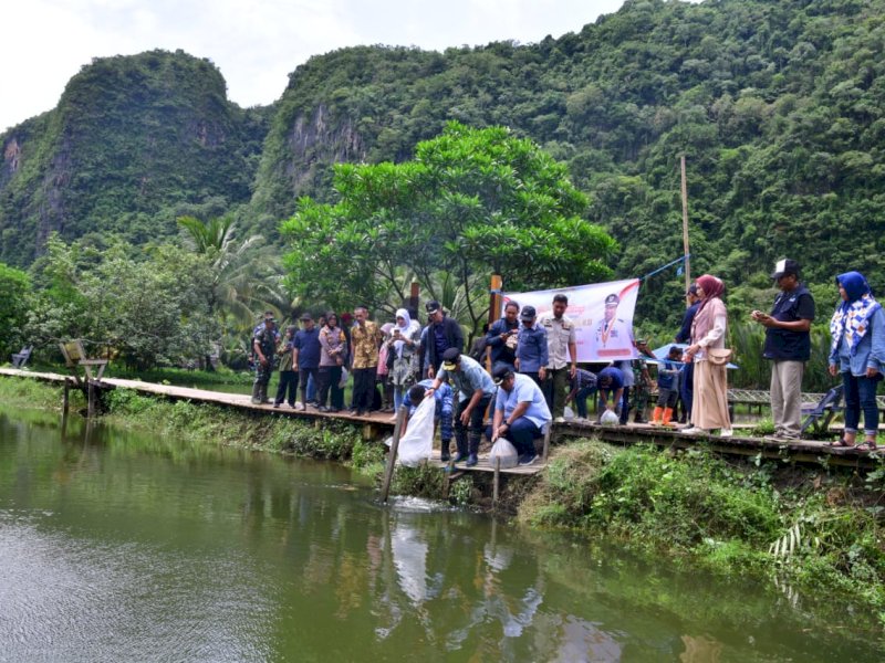 Penjabat Gubernur Sulsel Bahtiar Baharuddin menebar benih ikan di Rammang-rammang. 