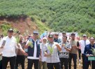 Bahtiar Target tak Hanya Pisang, Nanas Sulsel juga Harus Diekspor