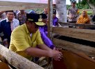 Pemprov Sulsel Lakukan Inseminasi Buatan di Bone, Dorong Populasi Sapi Bali