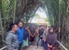 Jembatan Kaccia Selesai Diperbaiki, Warga: Terima Kasih Dinas PU Makassar 