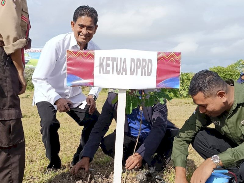 Ketua Komisi II DPRD, H Sudirman Meru melakukan penanaman pohon di Desa Waetuo,