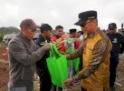 Gerakan Sulsel Menanam, Prof Zudan Berikan Petani Gowa Ratusan Ribu Bibit Hortikultura