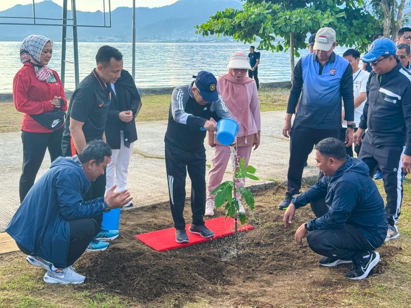 Wakil Presiden Ma'ruf Amin melakukan penanaman sukun di Kabupaten Mamuju. 