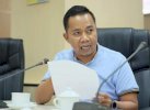 Dewan Semprot Rudy Soal Pelantikan Pejabat Fungsional: Fokus Saja Urusi Covid-19