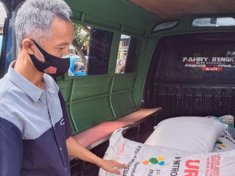 Kanit II Sat Intelkam Polres Wajo IPDA Bambang Edi saat mengecek kelangkaan pupuk subsidi. 