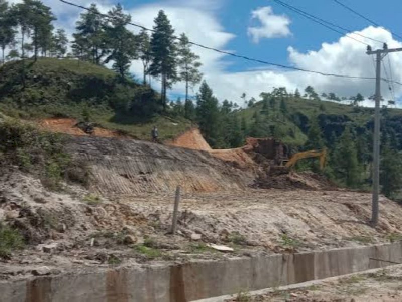 Hutan Mapongka. (INT) 