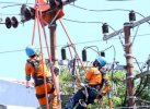 PLN Turunkan Tim PDKB Lakukan Pemeliharaan Jaringan Listrik di Makassar  