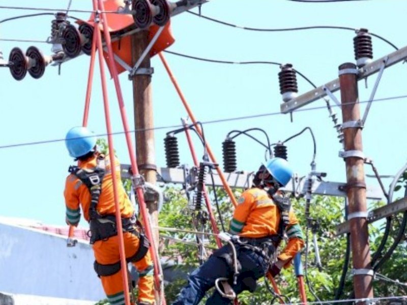 Tim khusus PDKB PLN melakukan memelihara Jaringan Tegangan Menengah.