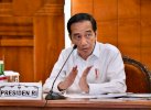 Porang Makin Naik Daun Usai Dipromosikan Presiden Jokowi