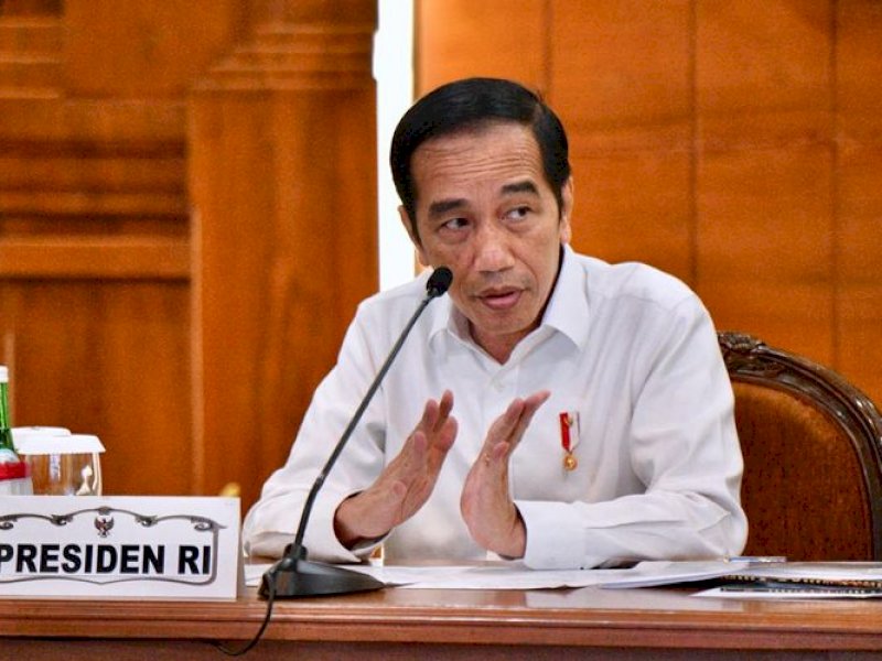 Presiden Jokowi turut mempopulerkan tanaman Porang baru-baru ini. (Int)