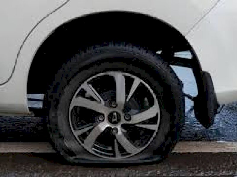 Foto ilustrasi. (Foto: Int)