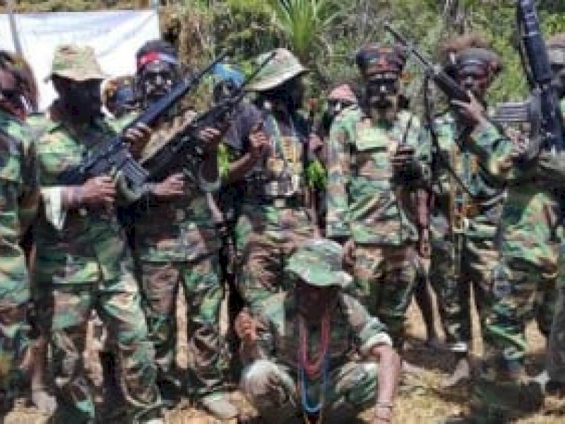 Kelompok Separatis Teroris (KST) Organisasi Papua Merdeka (OPM). (Int)