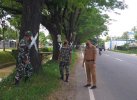 Rawan Tumbang, Kodim Gowa Siap Karya Bakti Peremajaan Pohon 
