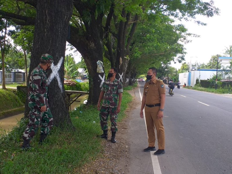 Aparat Kodim 1409 bersama pegawai Pemkab Gowa mendata pohon rawan tumbang. (Ist)