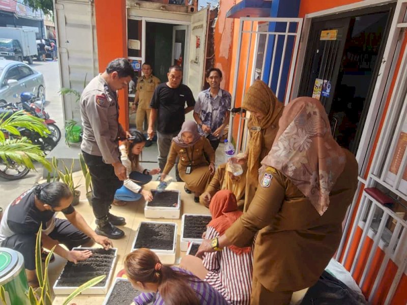 Penyemaian bibit cabai, di Kelurahan Butung, dibina langsung team penyuluh Dinas Ketahanan Pangan Kota Makassar