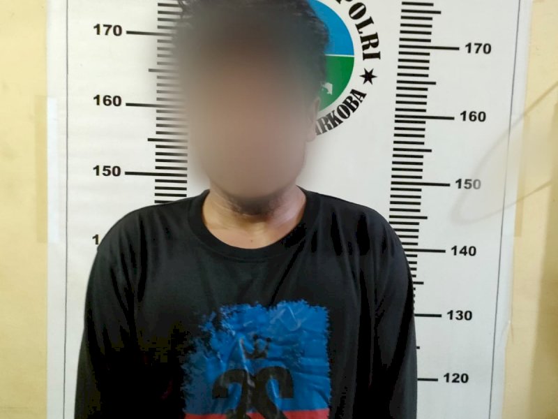 Terduga bandar narkoba ditangkap Satres Narkoba Polres Wajo. (Ist)