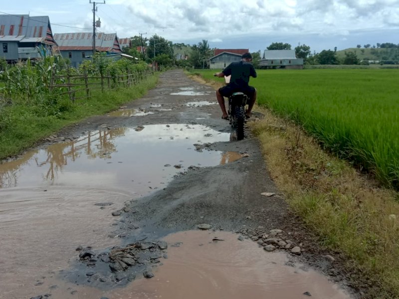 Jalan Poros Desa Beroangin rusak parah. (Mahmud Sewang)