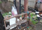 Tumpukan Sampah di Drainase Jalan Abd Kadir tak Tertangani, Pemerintah Acuh?